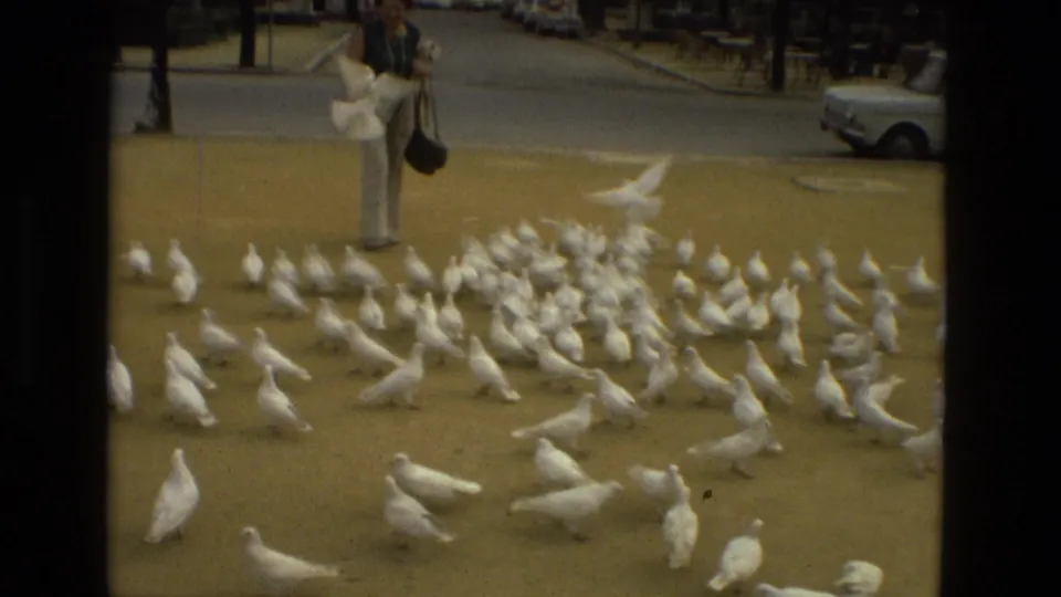 In Madrid in 1978, a woman in light pants stands beside many white pigeons gathered across a sunlit park walkway.
