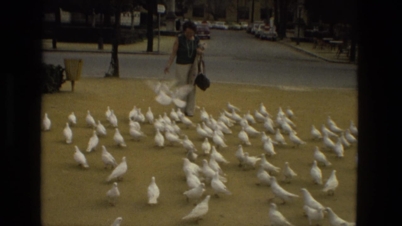 A woman in a green top and light pants stands among white pigeons in a Madrid park, with cars and trees beyond the walkway.