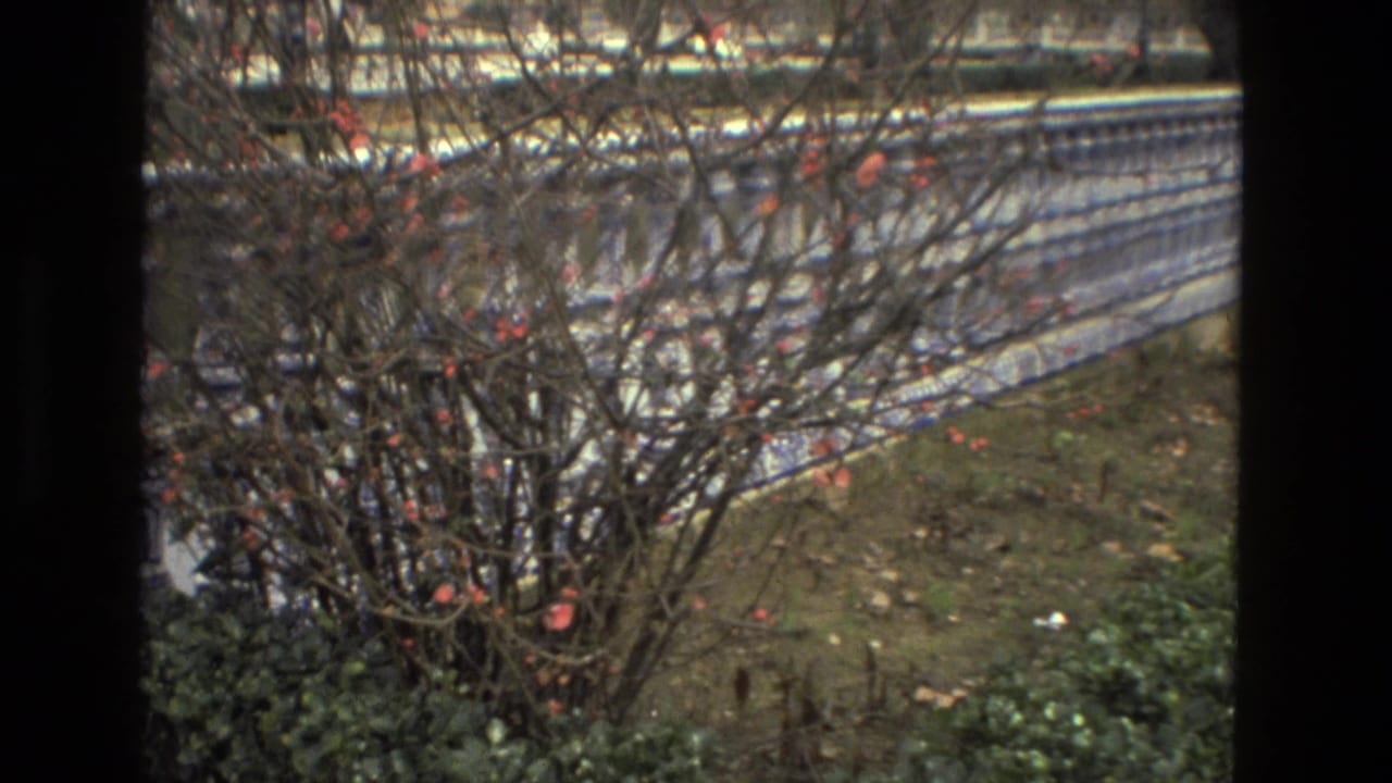 Bare branches and a tiled railing in front of a long arched building.