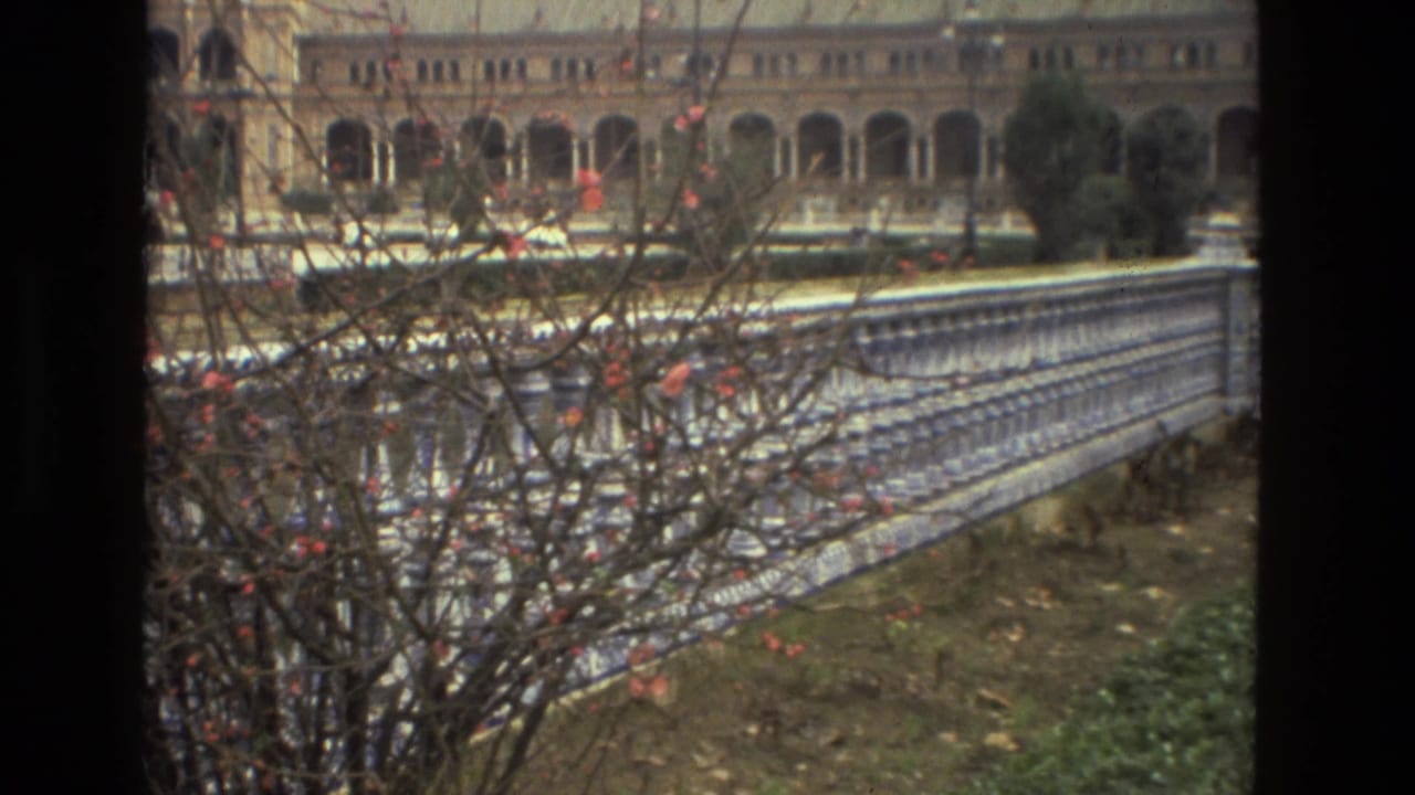 Tiled railing and leafless branches with an arched building in the background.
