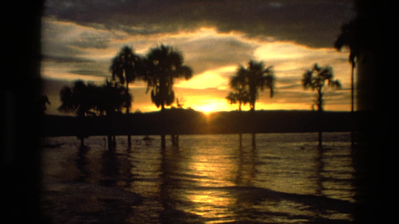1979 8mm home-movie view of a Manaus, Brazil sunset over water, with palm trees in silhouette and gold reflection on the surface.