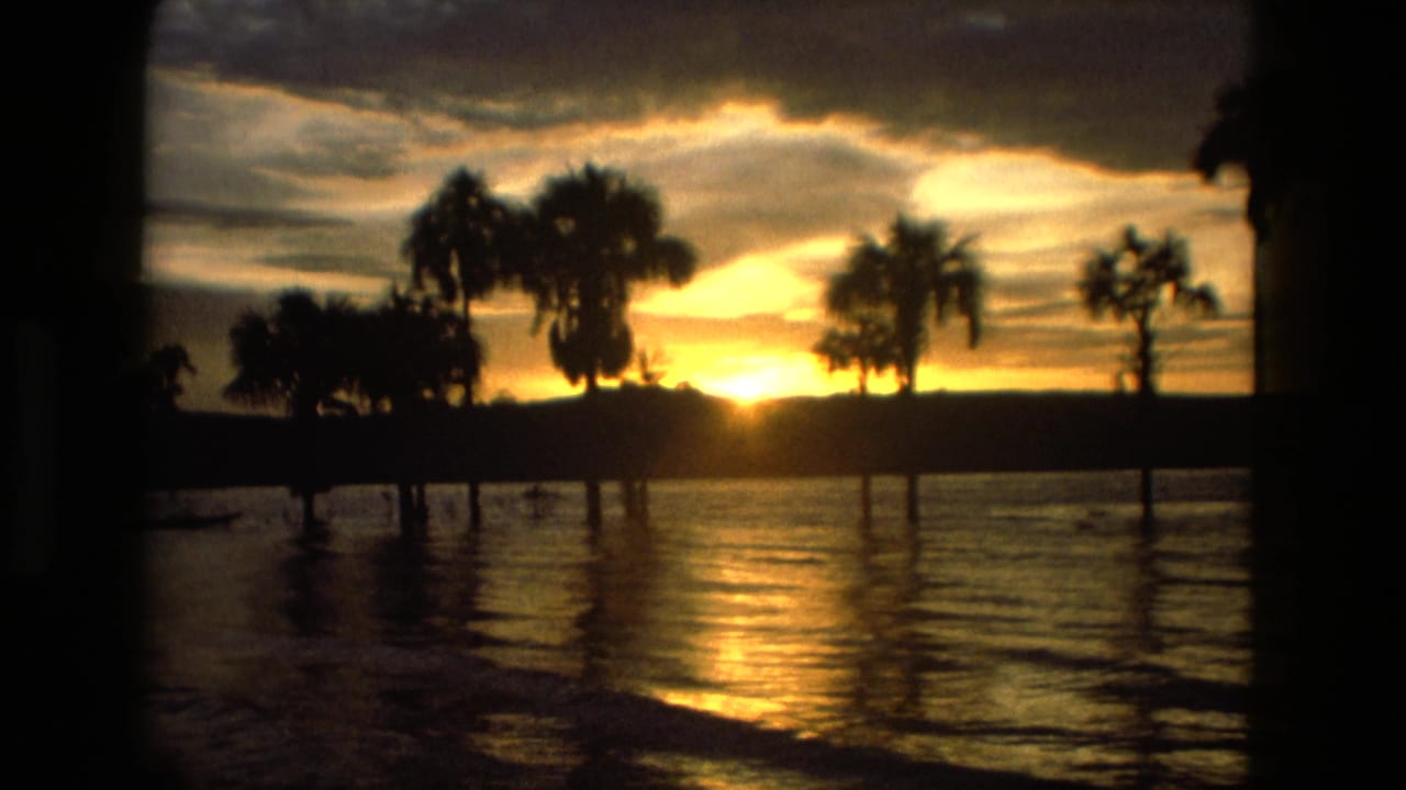 Manaus, Brazil 1979 8mm frame showing a golden sunset, palm silhouettes, and dark rippling water beneath a cloudy sky.