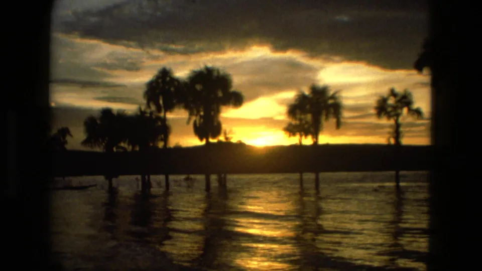Final 1979 Manaus, Brazil sunset frame with silhouetted palms, yellow-orange sky, and rippled water reflecting the fading light.
