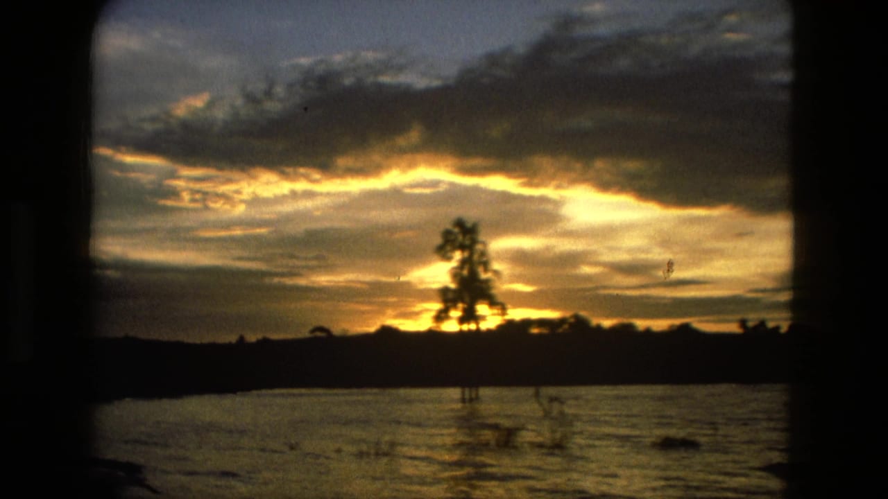Sunset over water with a silhouetted tree beneath heavy clouds.