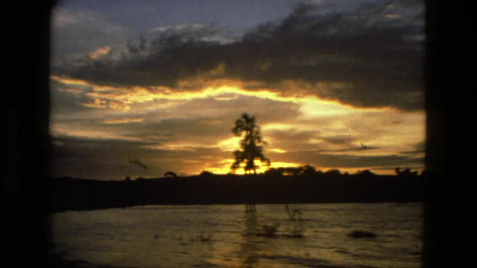 Vintage 8mm Manaus shoreline view with warm sunset light, heavy clouds, lake water, and a lone tree in silhouette.