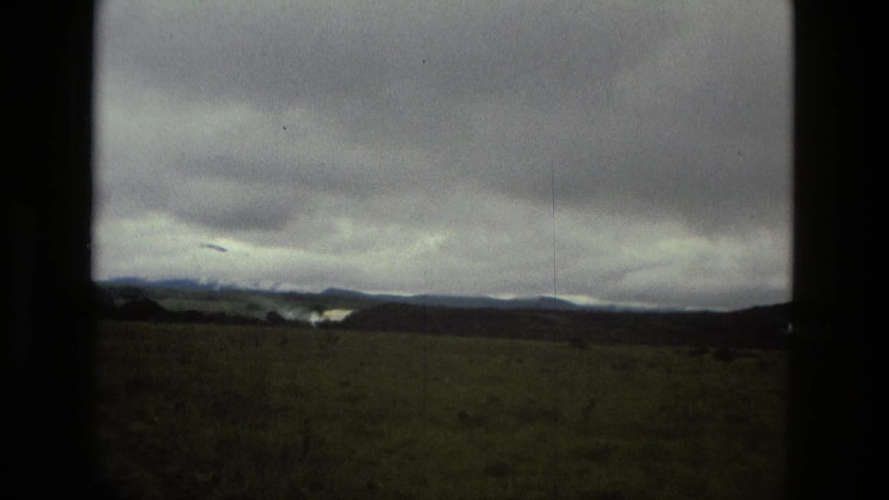 Overcast open landscape with grass, low hills, and distant water or mist.