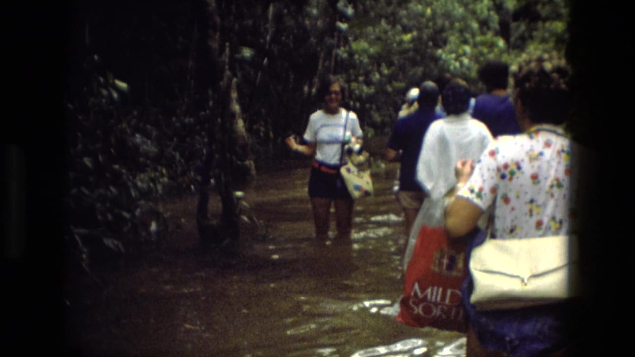 Tourists wade through a flooded jungle trail with dense foliage on both sides.
