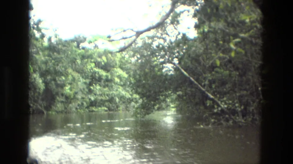 1979 Manaus frame showing a flooded forest passage with still water, dense vegetation, and bright canopy light.