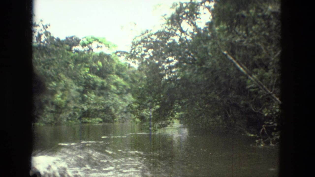 1979 8mm view from a moving boat on a river near Manaus, Brazil, with dense rainforest along both banks.