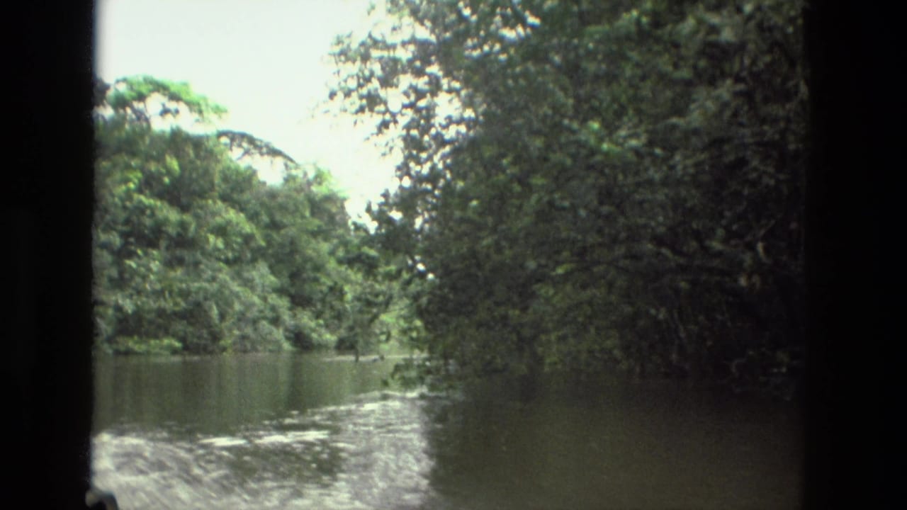 Forested river bend with rippled water and dark frame edge.