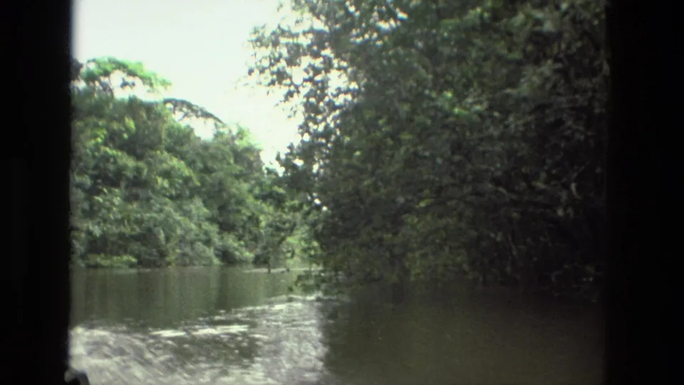 Amazon rainforest river scenery near Manaus, Brazil, seen from a moving boat on 1979 8mm film.