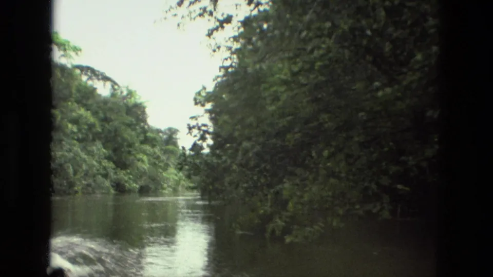 Boat-passenger view of calm Amazon river water and dense green forest near Manaus on vintage 8mm footage.