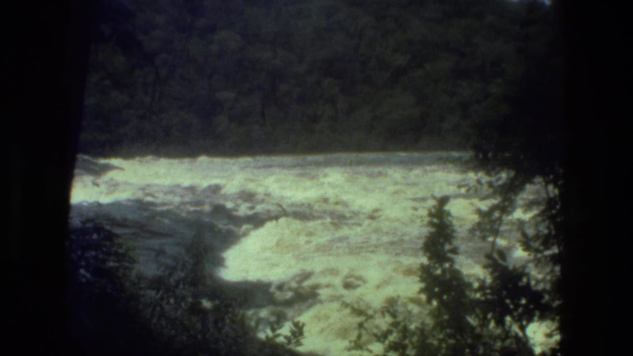White water rapids seen through dark tree silhouettes and dense forest foliage.