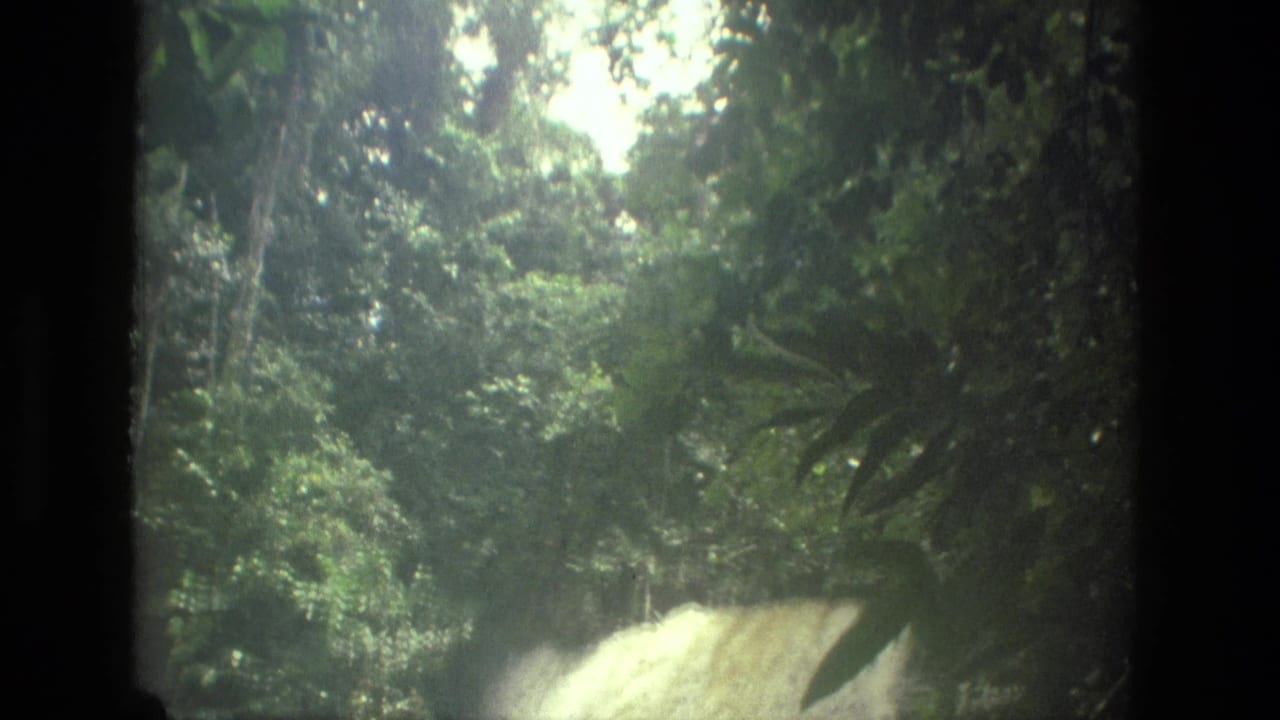 Distant jungle waterfall partly framed by dark film-edge shadows and foliage.