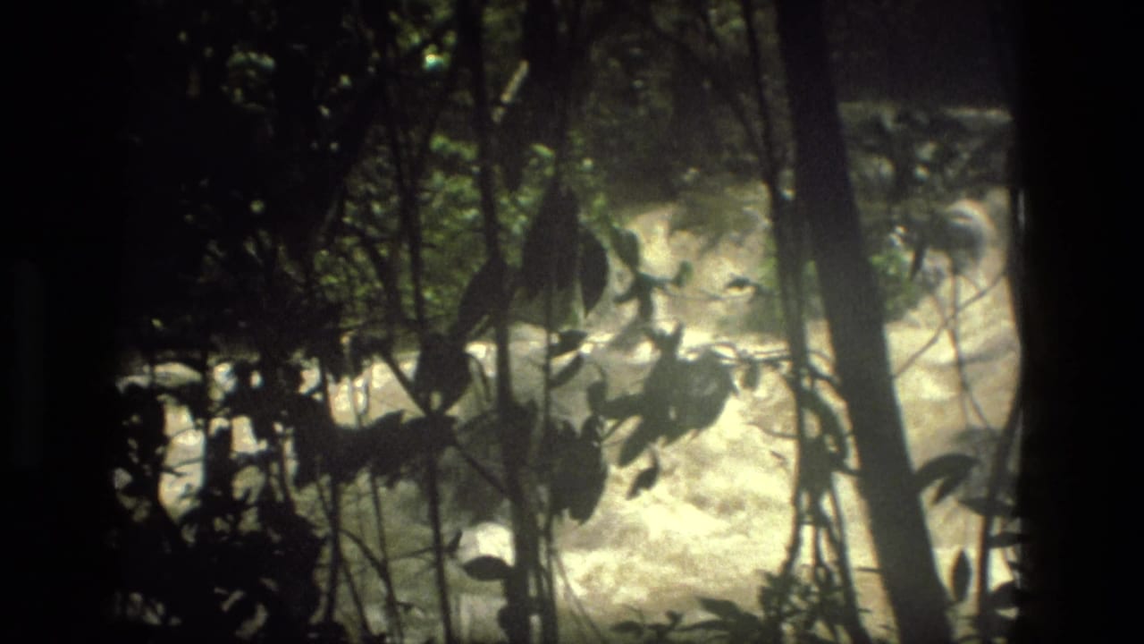 1979 Manaus-region rapids viewed from a shaded jungle margin through trunks, vines, and broad leaves.