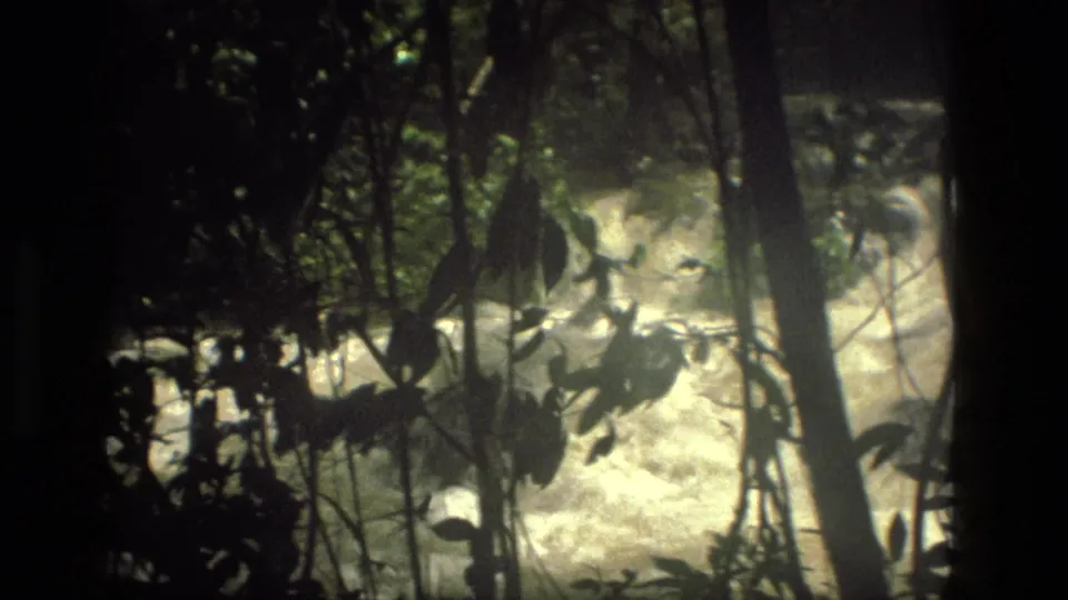 1979 Manaus-region rapids viewed from a shaded jungle margin through trunks, vines, and broad leaves.