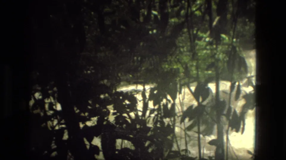 Bright, muddy rapids in Manaus, Brazil, framed by silhouetted jungle plants on 8mm film.