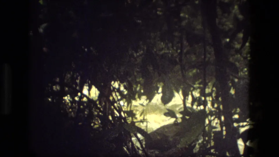 The final 8mm frame shows Amazonian foliage in shadow with bright rapids breaking through the background.