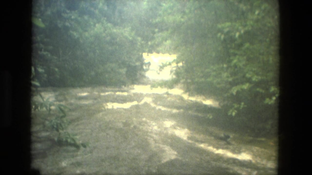 1979 8mm view near Manaus, Brazil, showing turbulent river water framed by dense jungle vegetation and sun glare.