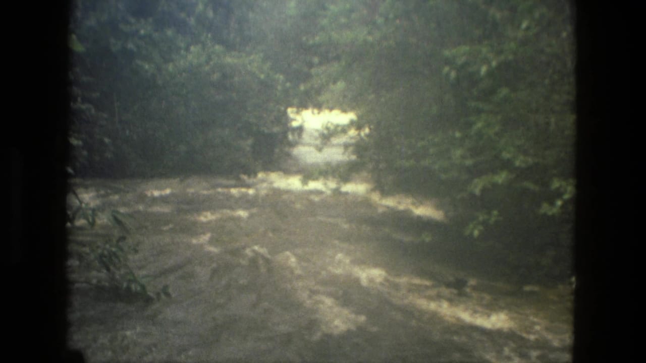 Turbulent water flows between dark green riverbanks under hazy light.