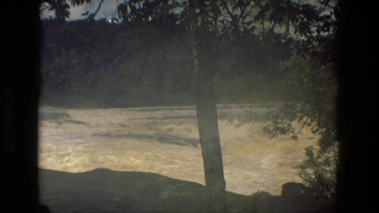 1979 Manaus, Brazil 8mm frame showing a swollen muddy river through trees and shaded riverbank foreground.
