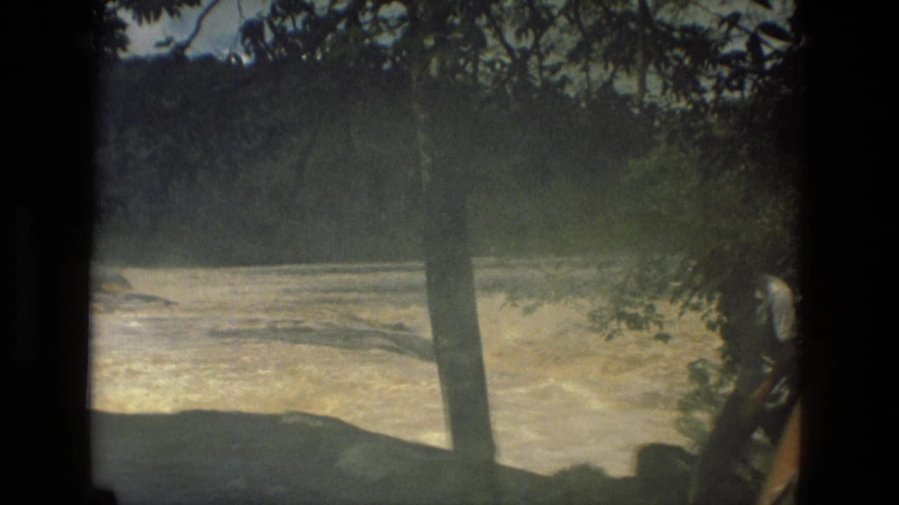 Turbulent river behind a vertical tree trunk and leafy branches.