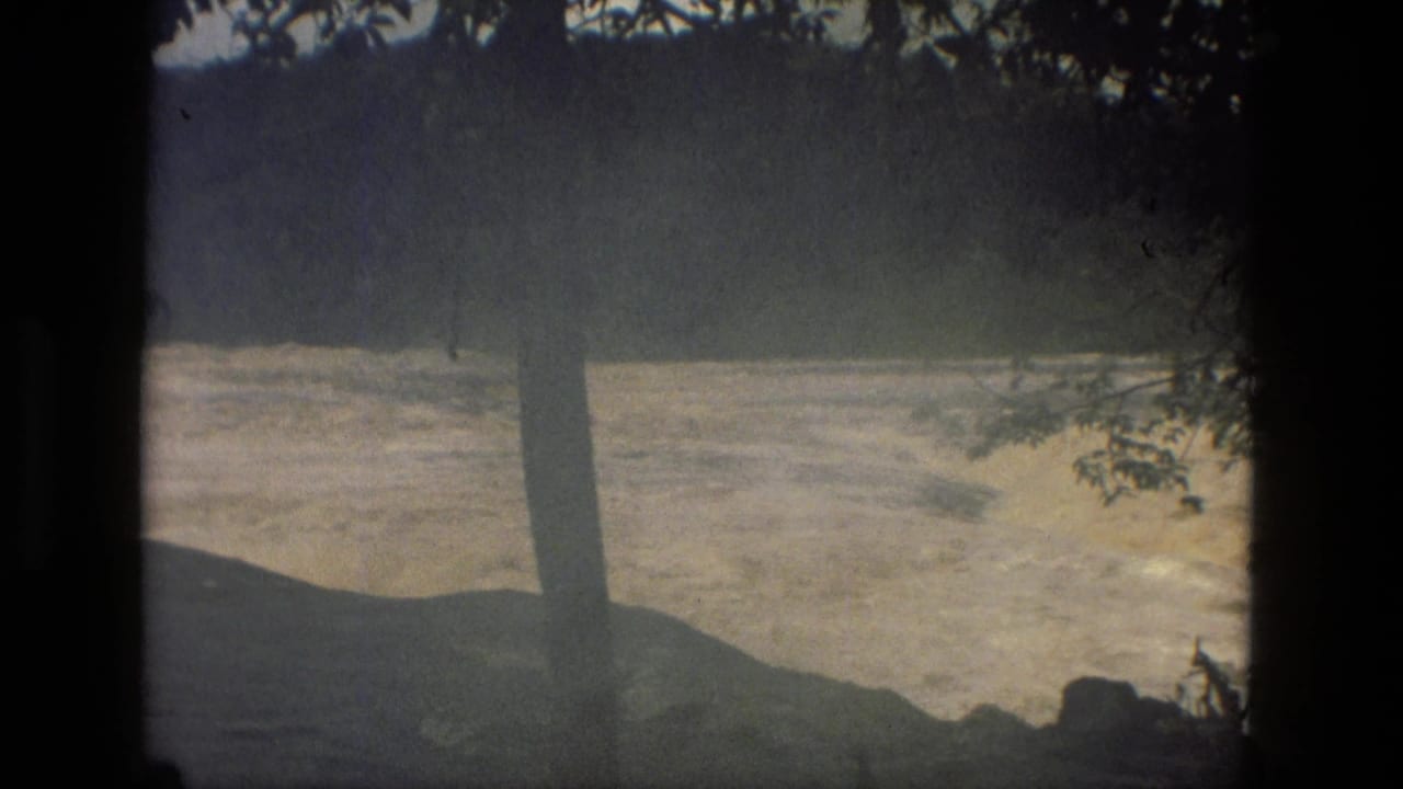 1979 Manaus, Brazil 8mm frame showing fast river water beyond shaded tree trunks and rocks.