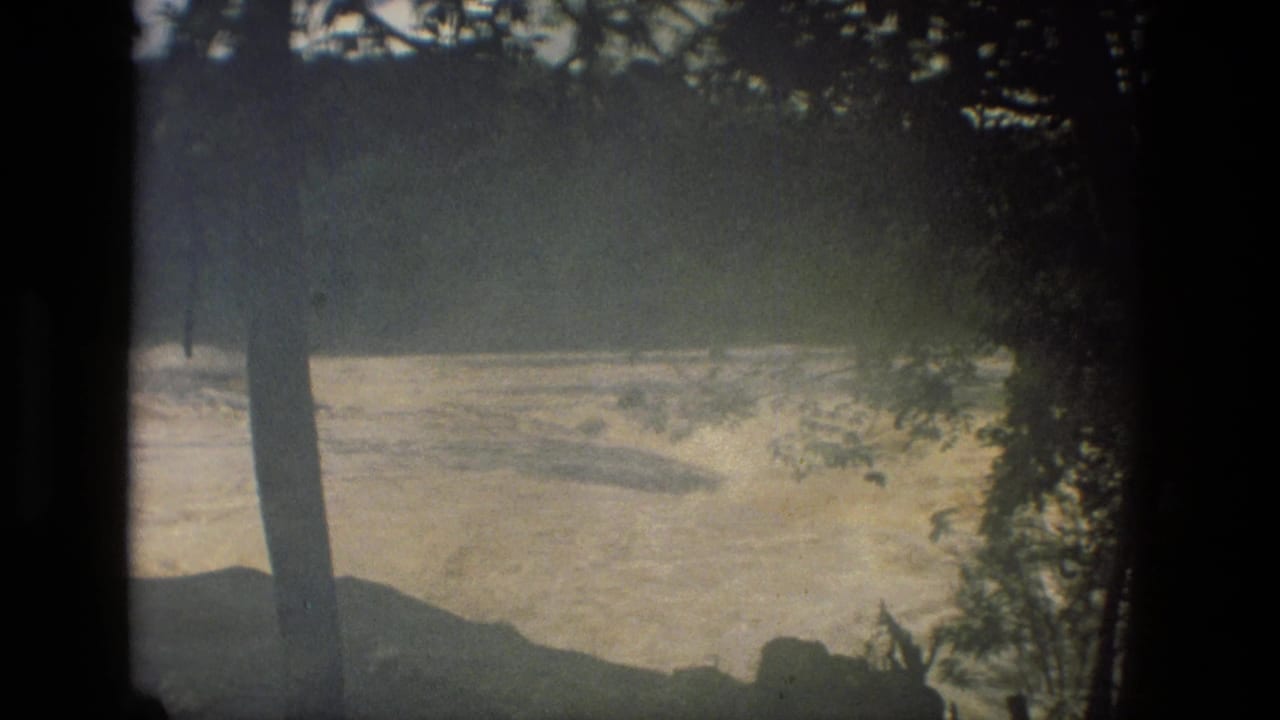 Wide river current viewed past a tree trunk and overhanging branches.