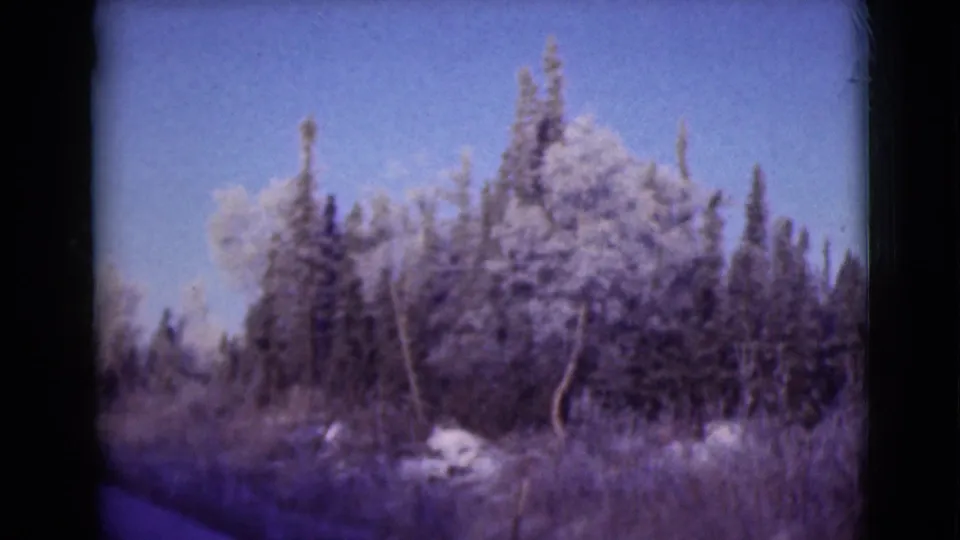 The final frame shows the remote Alaskan roadside, with snow-dusted evergreens, brush, blue sky, and the road edge visible.