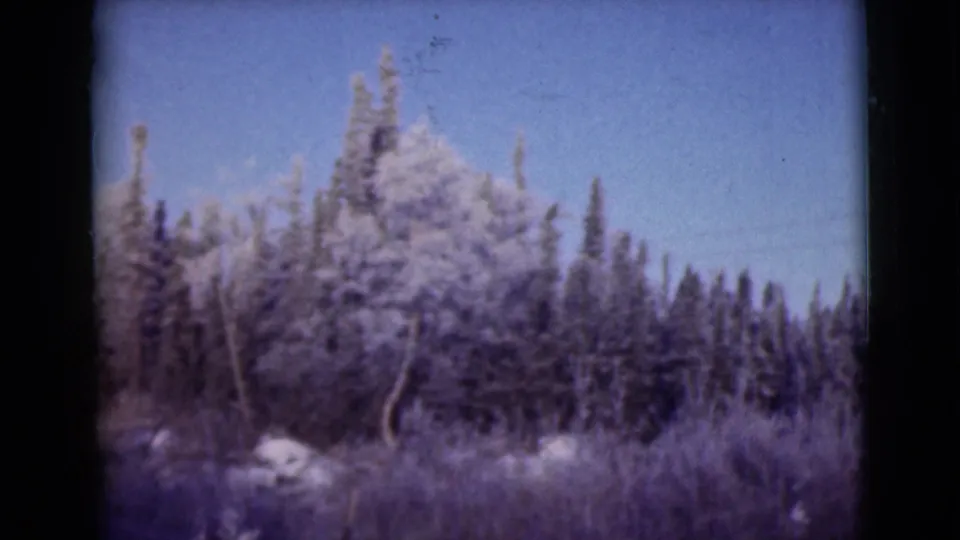 Soft 1946 Alaska 8mm frame with snow-covered evergreens, pale sky, brush, and visible dark frame edges.