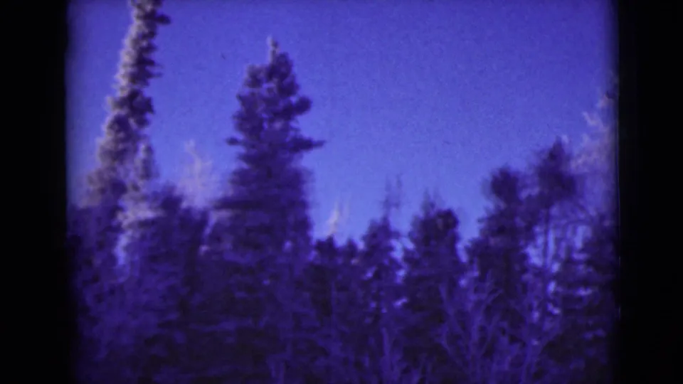 1946 Alaska forest frame with conifer silhouettes, leafless trees, and a purple-blue sky within visible 8mm frame edges.