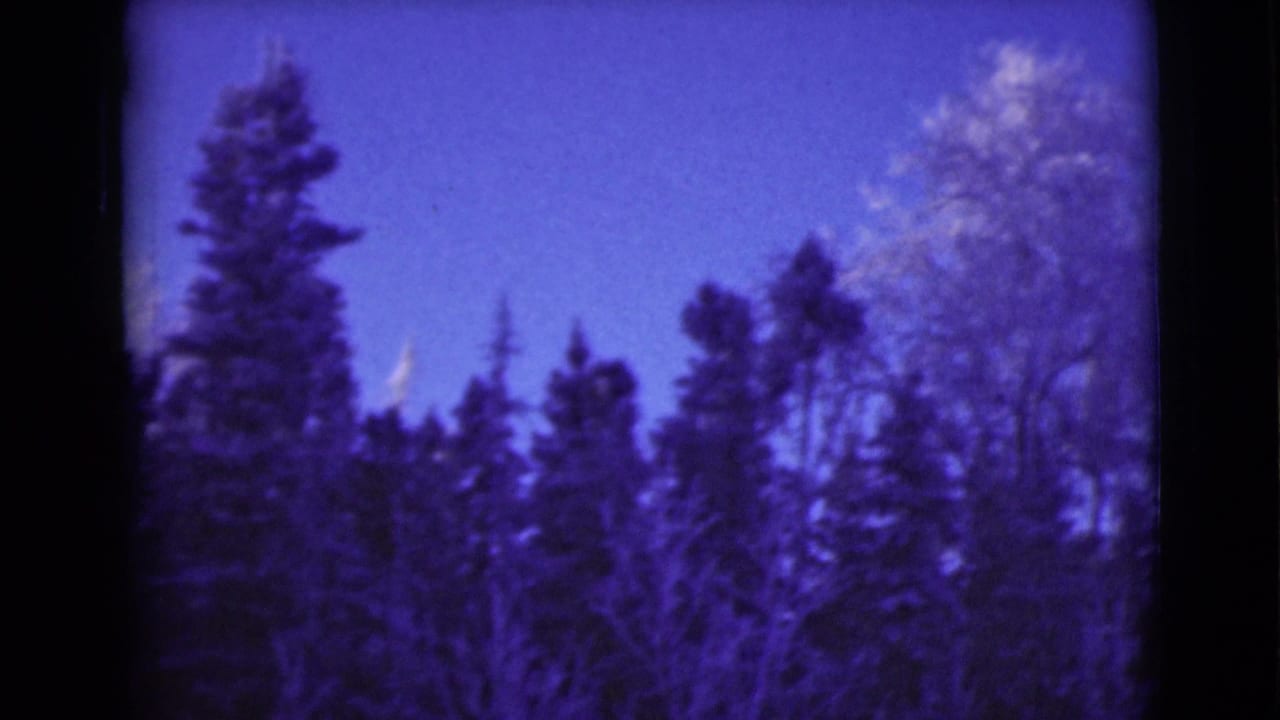 1946 Alaska 8mm frame showing dark evergreen trees and snowy branches under a blue-purple sky.