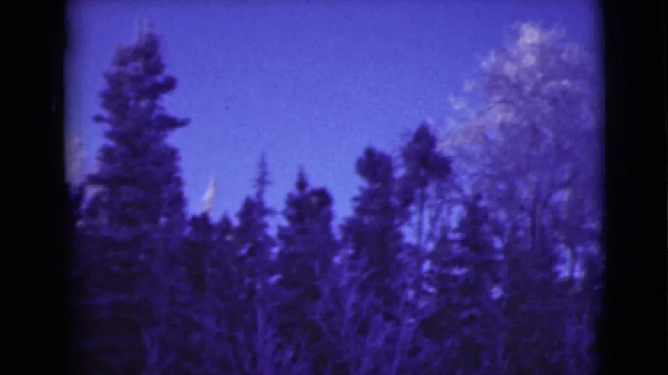 1946 Alaska 8mm frame showing dark evergreen trees and snowy branches under a blue-purple sky.