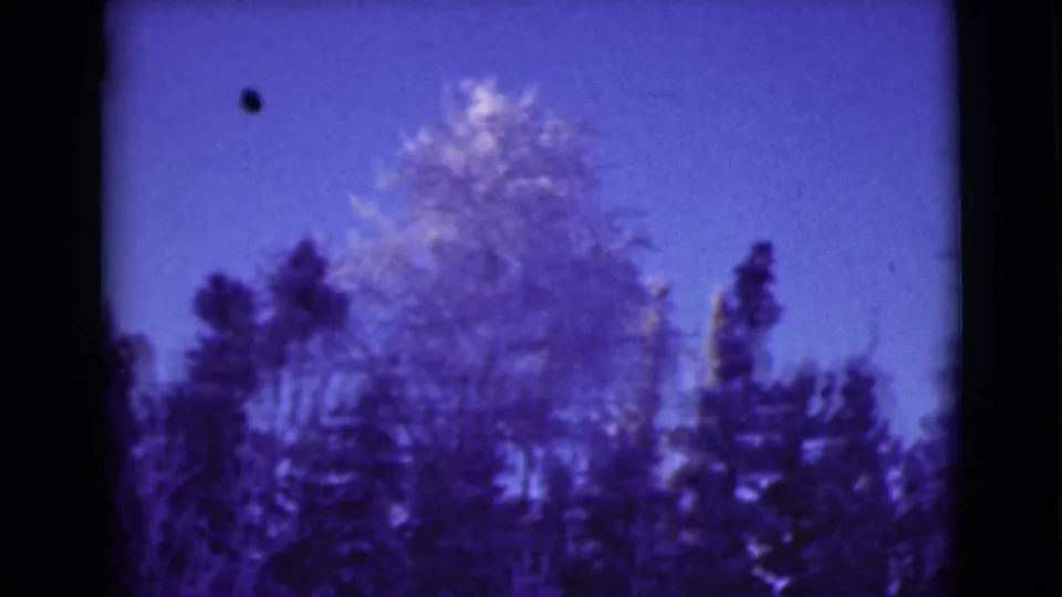 1946 Alaska home-movie frame with winter trees silhouetted against a blue-purple sky and visible film edges.