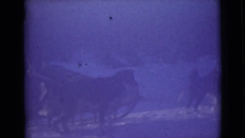 1946 Alaska home-movie frame with a faint dog team and sled-like form crossing a snowy open area.