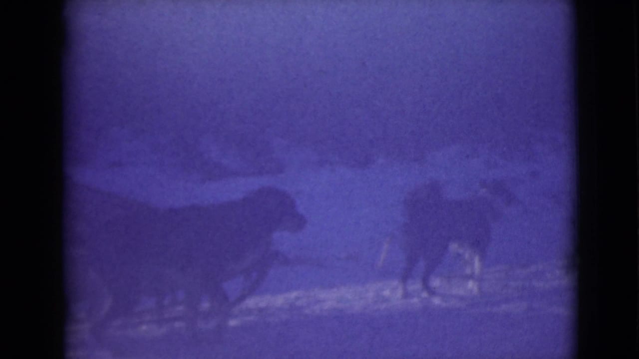 Dog team moving through snowy landscape under blue-purple film tint.