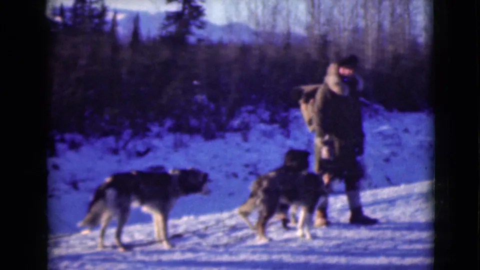 1946 Alaska 8mm frame showing an adult man in a heavy coat and hat beside husky-type dogs on snowy ground.