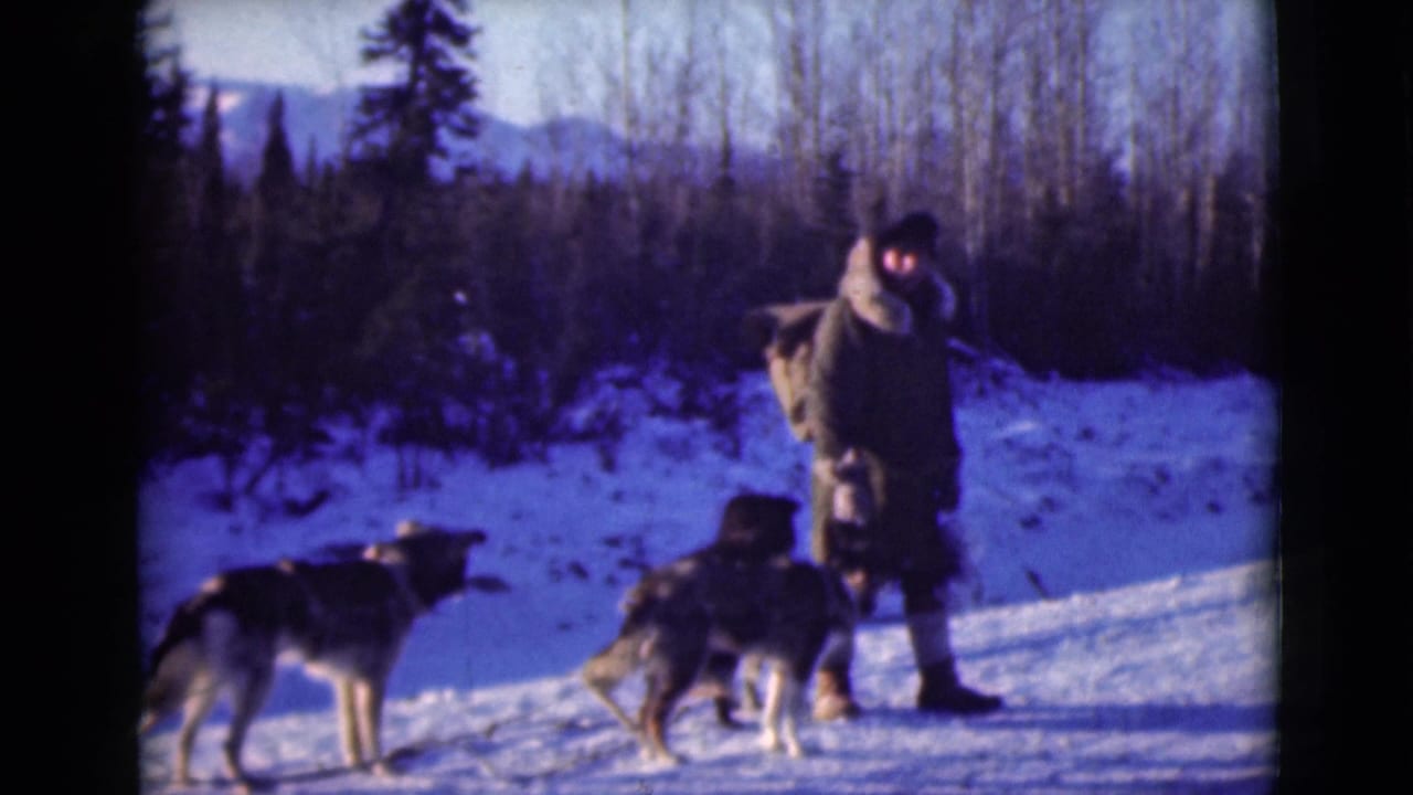 Man in winter clothing stands with sled dogs on snowy ground near trees.