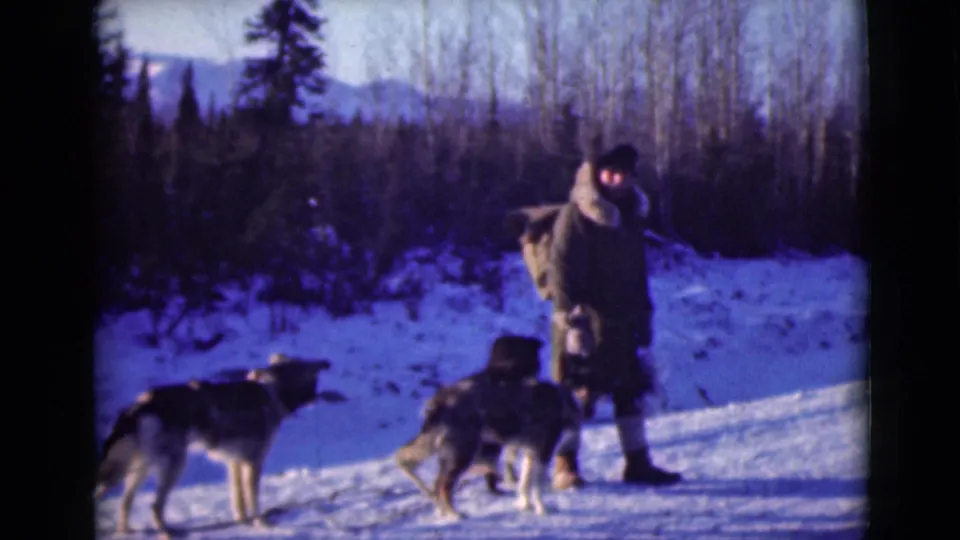 1946 Alaska home-movie frame showing a bundled man standing with sled dogs in a snowy clearing near trees and distant hills.
