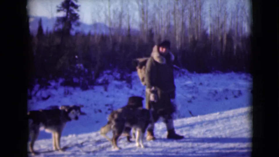 A bundled adult in 1946 Alaska stands near several dogs on snow, with bare trees, evergreens, and hills in the background.