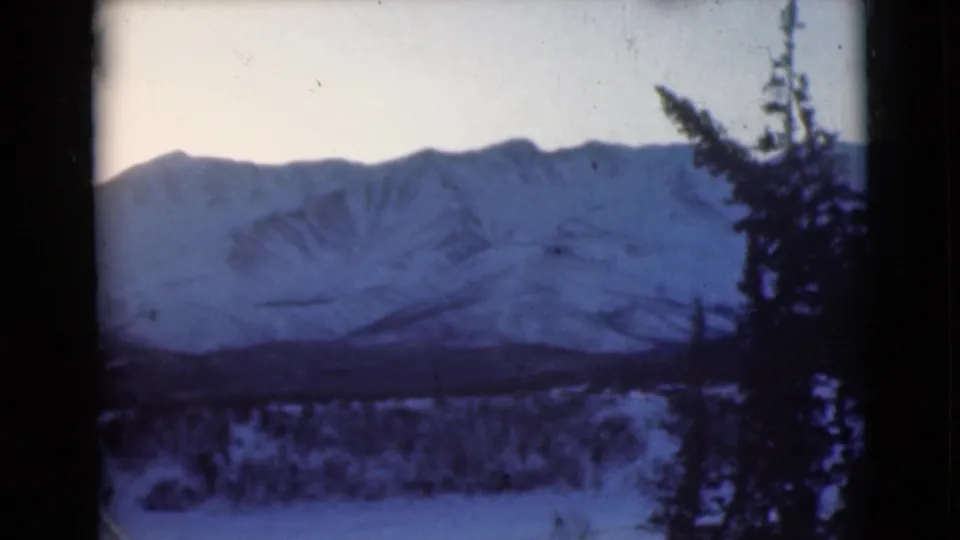1946 Alaska 8mm frame showing a broad snow-covered mountain ridge under a pale sky, with dark evergreen branches framing the right side.