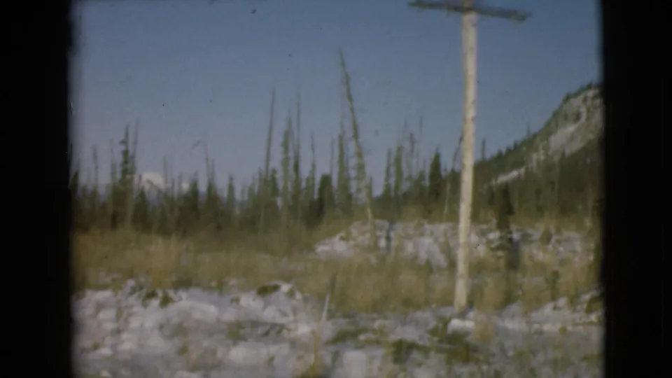 1946 Alaska home-movie frame showing a tall telephone pole near grasses, evergreens, rocky ground, and a distant mountain ridge.