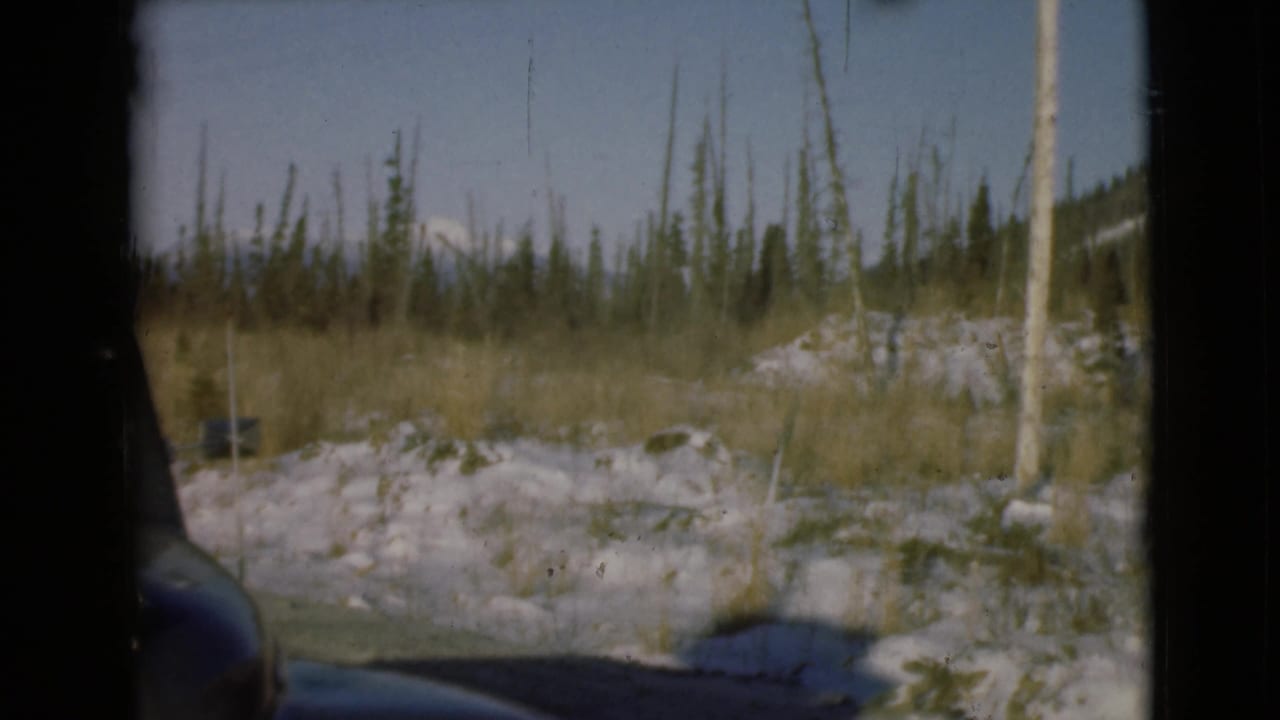 Snowy roadside with evergreen trees seen through dark film-frame edges.