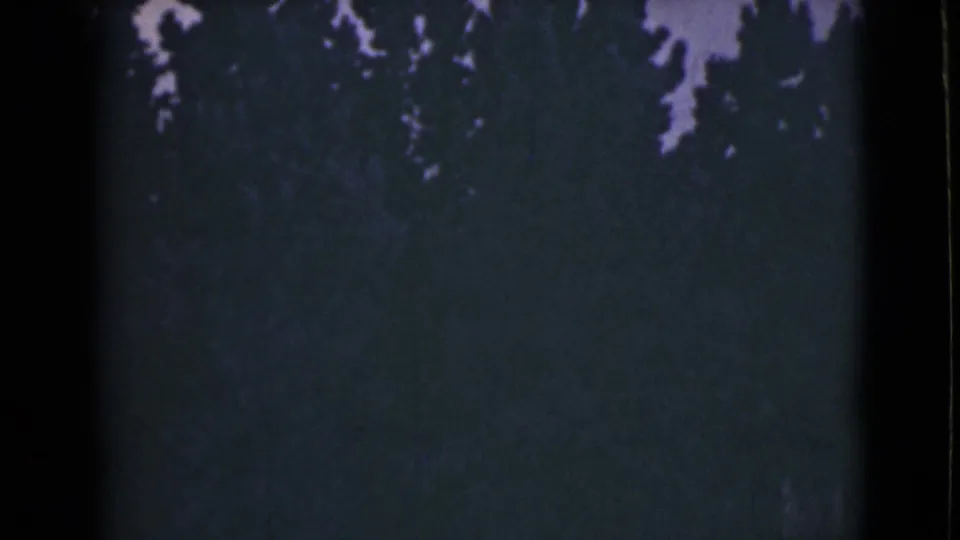 1946 Alaska 8mm frame showing dark evergreen silhouettes under a low-light purplish sky.