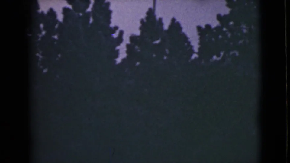 1946 Alaska 8mm view of dense trees in shadow beneath a muted blue-purple sky.