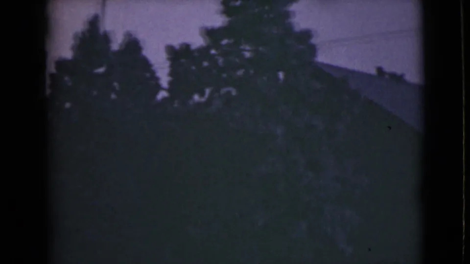 1946 Alaska 8mm frame with dark foliage and a faint sloping roofline partly obscured by trees.