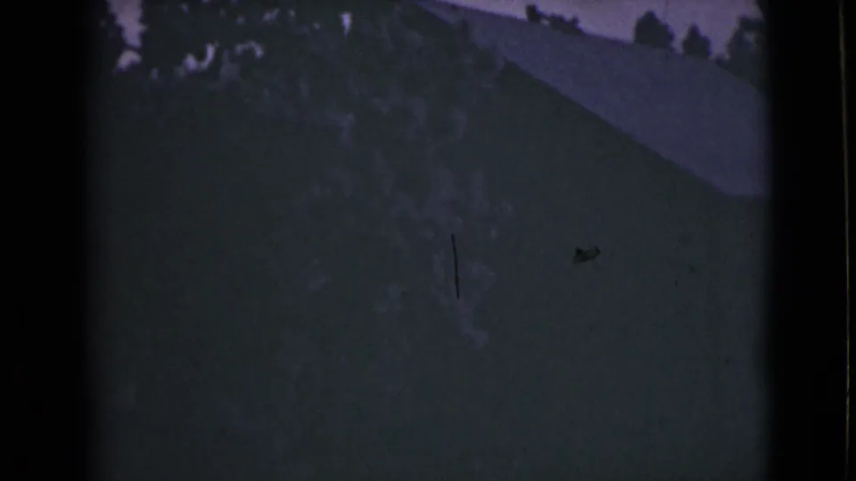 1946 Alaska 8mm view of shadowed branches with a sloped roof shape faintly visible behind them.