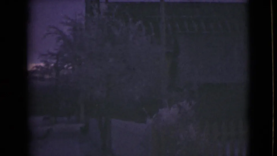 1946 Alaska home-movie view of a shadowed yard or path area with plants, a pale horizontal strip, and indistinct fence details.