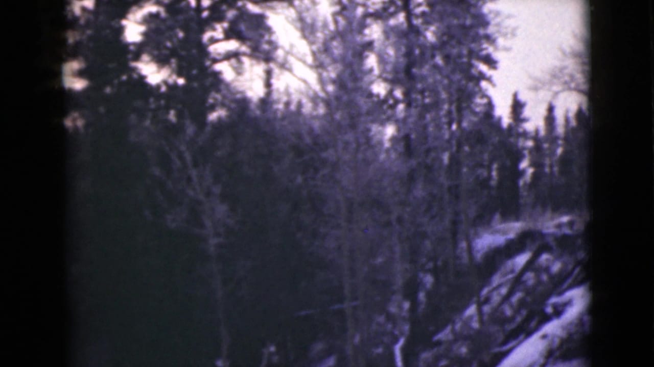 1946 Alaska 8mm frame showing snowy woods, bare branches, evergreens, and a shadowed hillside with a purple film cast.