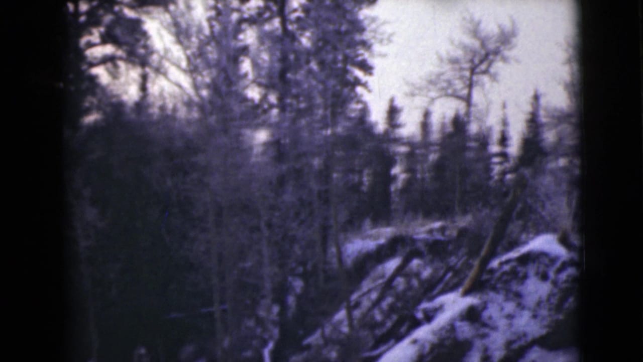 Winter woods with snow on rocks and trees in a dark forested area.